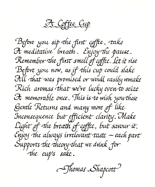 A Coffee Cup